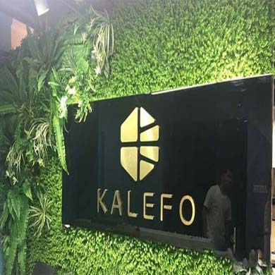 卡勒弗公司前臺招牌植物logo墻制作