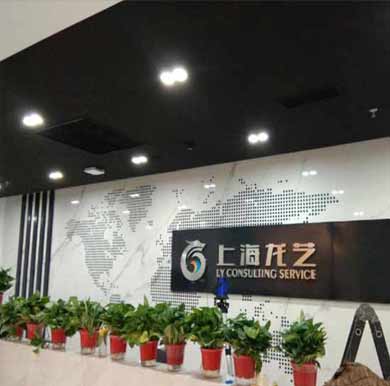 上海龍藝公司背景墻,不銹鋼立體字案例
