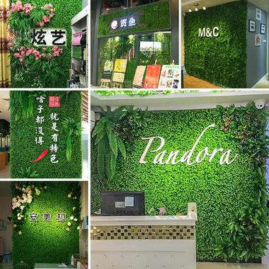 植物墻